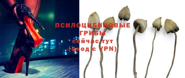 кокс Алексин