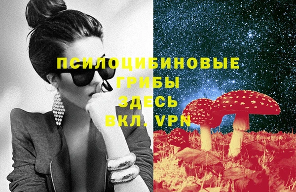 кокс Алексин