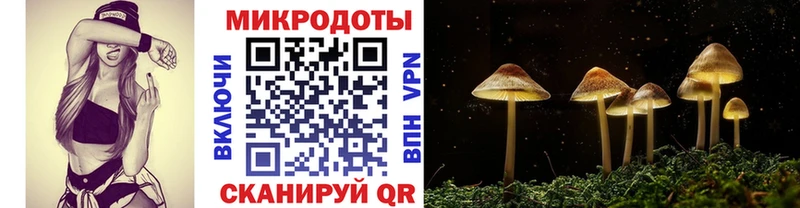 Галлюциногенные грибы мухоморы  наркота  Яровое 