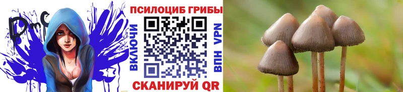 Галлюциногенные грибы мухоморы Яровое